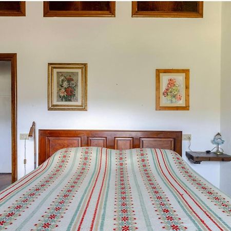 Divinae Cintoia Villa Greve in Chianti Exteriör bild
