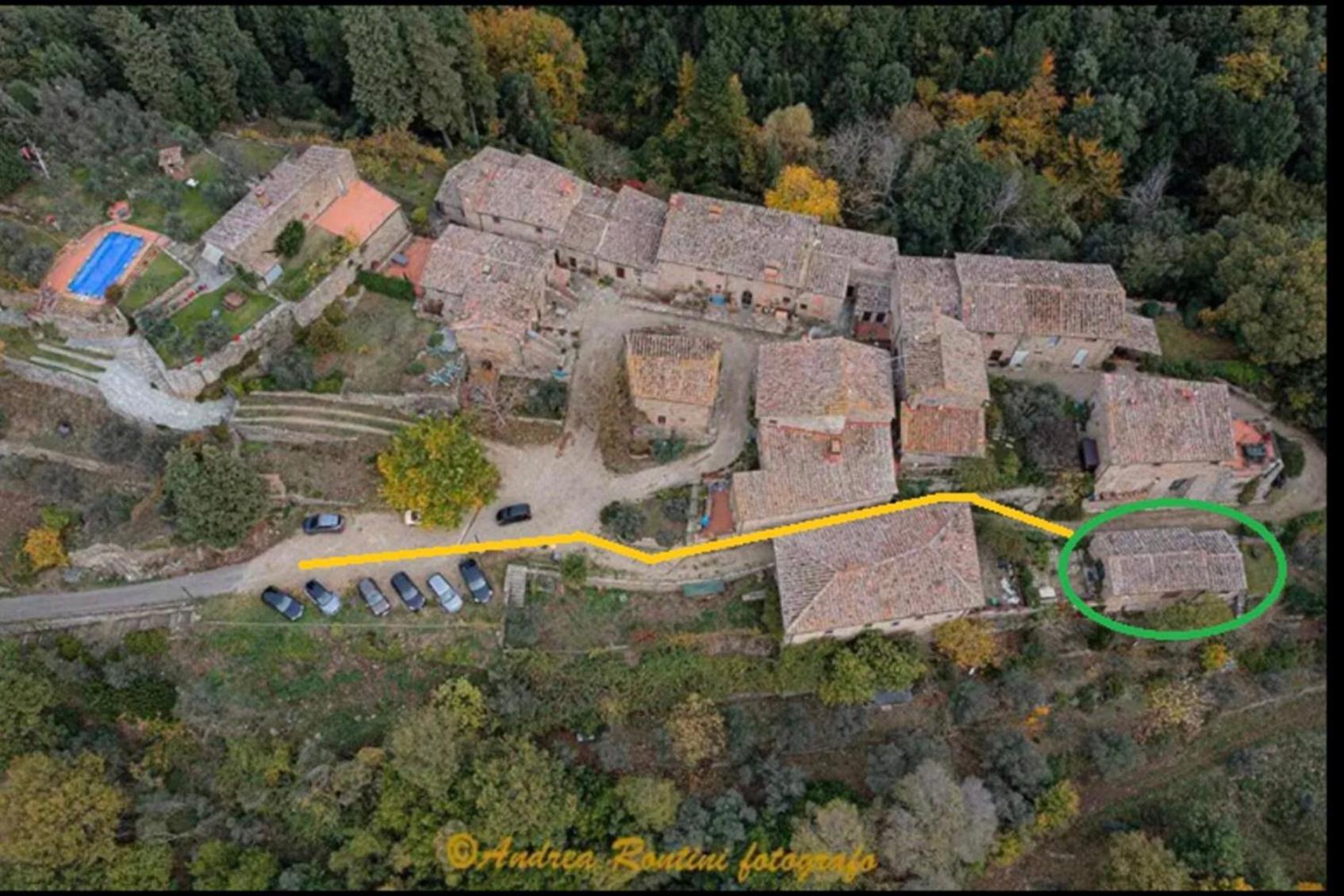 Divinae Cintoia Villa Greve in Chianti Exteriör bild